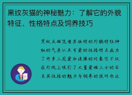 黑纹灰猫的神秘魅力:了解它的外貌特征、性格特点及饲养技巧 黑纹灰猫的神秘魅力:了解它的外貌特征、性格特点及饲养技巧